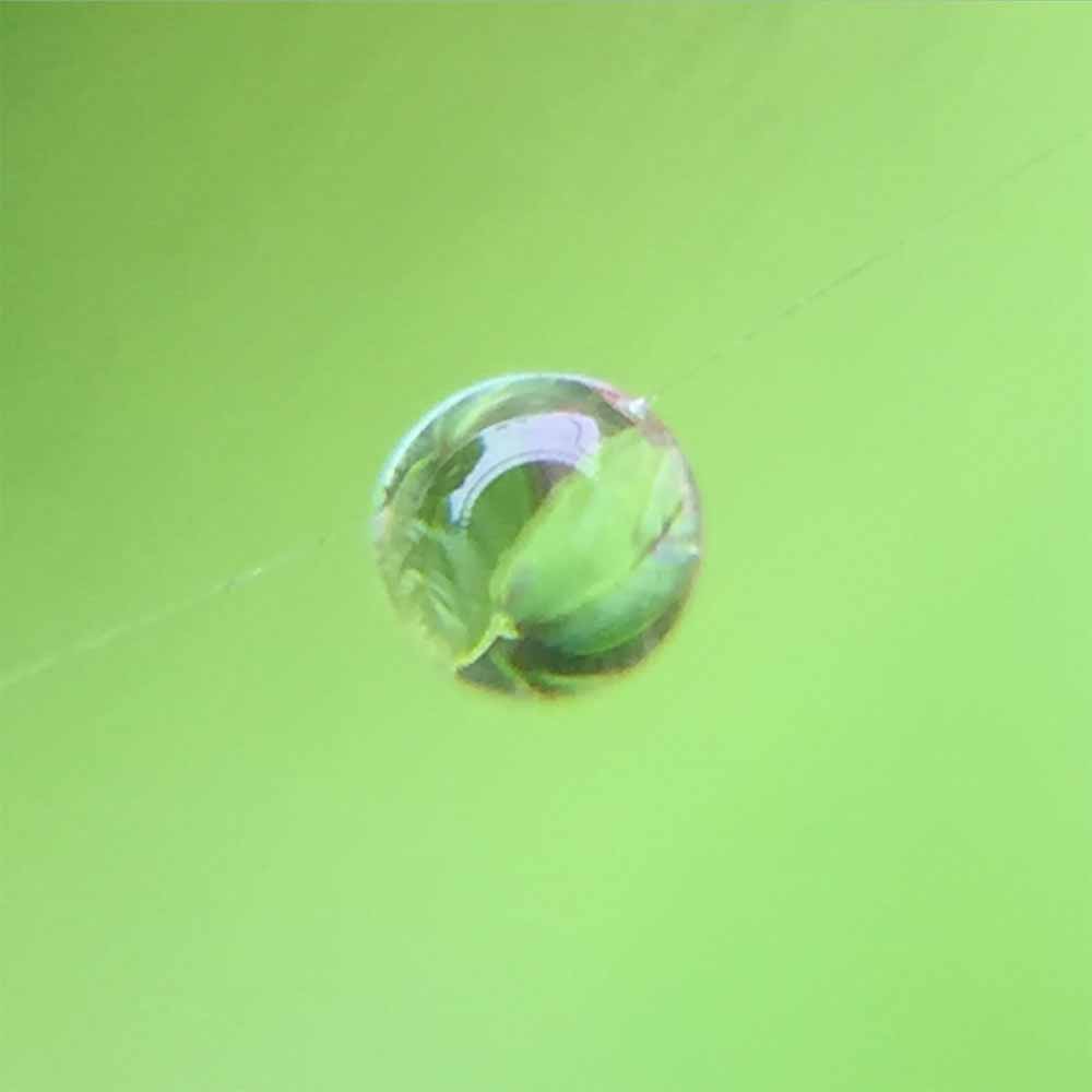 photo of a reflection